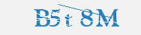 보안문자